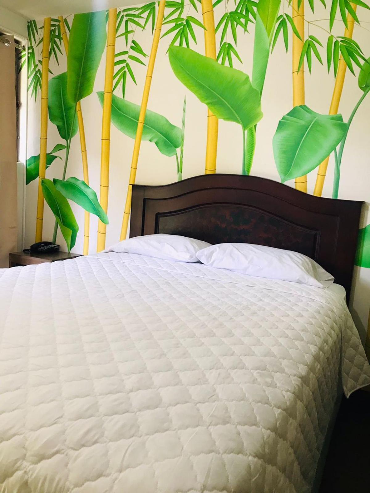 Hotel Ariana 圣佩德罗拉拉古纳 外观 照片