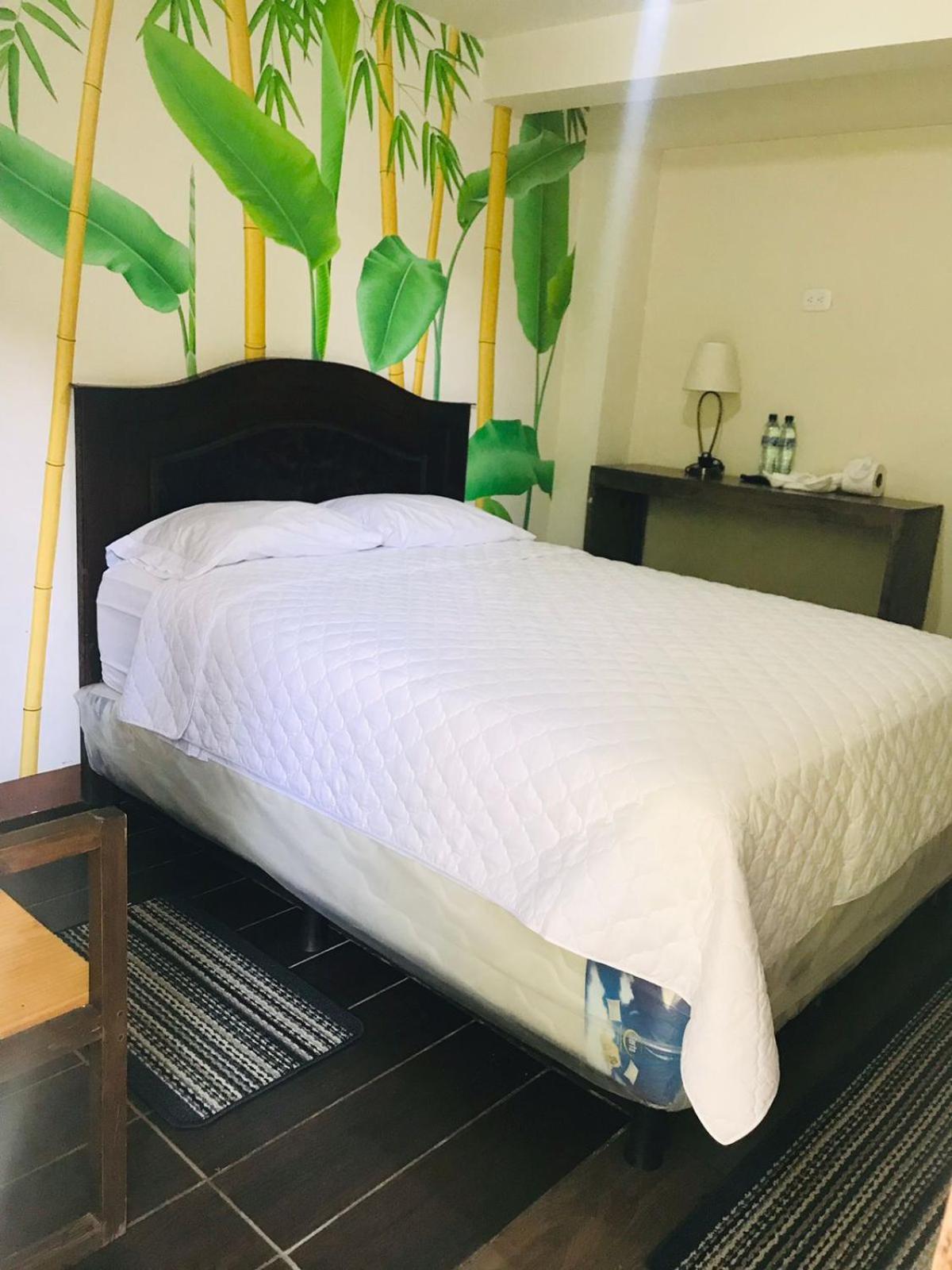 Hotel Ariana 圣佩德罗拉拉古纳 外观 照片